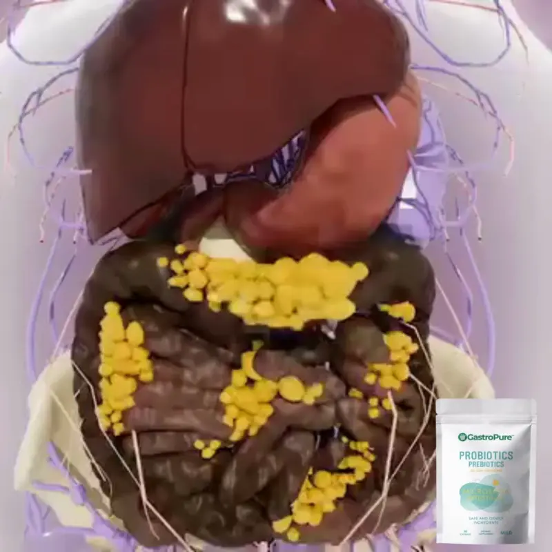 GastroPure™ | Kapseln für eine gesunde Darmfunktion - Image 17