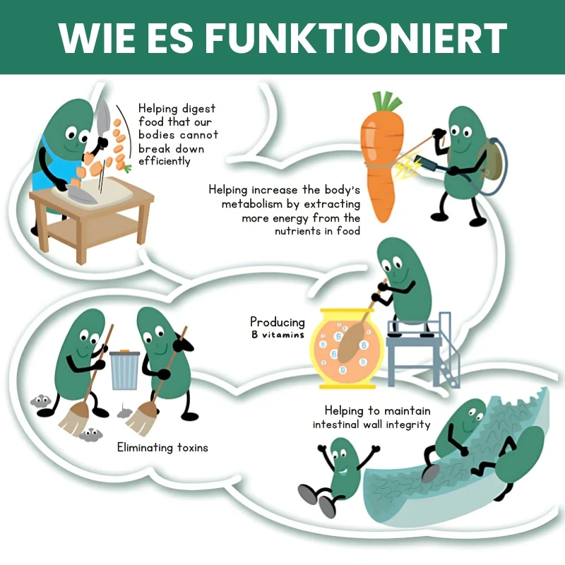 GastroPure™ | Kapseln für eine gesunde Darmfunktion - Image 4
