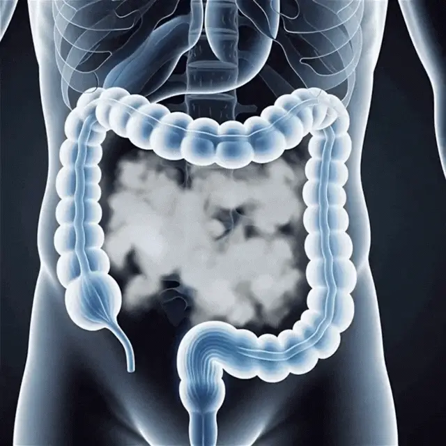 GutCleanse™ | Sanft-Kapseln - Image 2