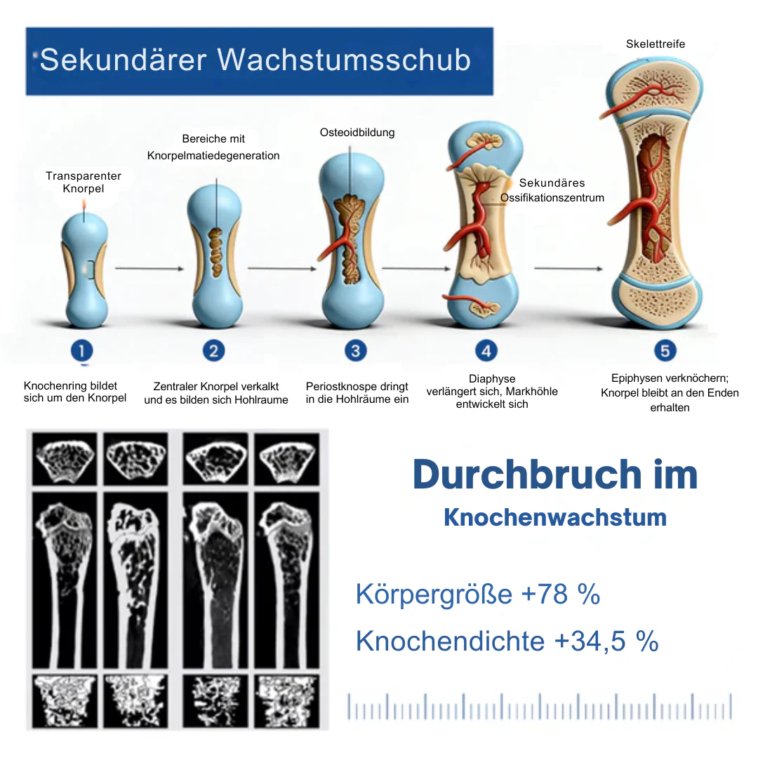HeightBoost™ | Wachstumsöl - Image 8