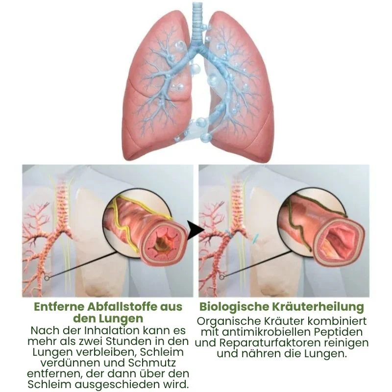 LungenRein™ | Mullein Inhalator Pen - Image 6