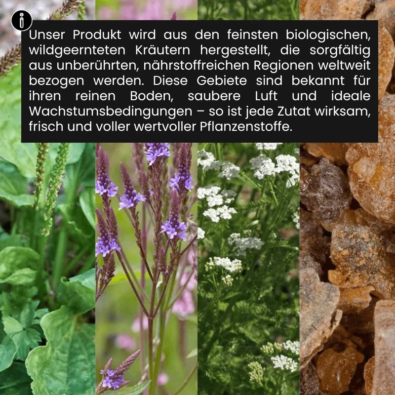 LymphoClear™ | Kräutertropfen gegen Blähungen und Schwellungen - Image 12