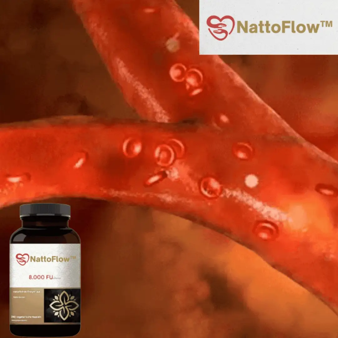 NattoFlow™ | Gesundheitskapsel - Image 5