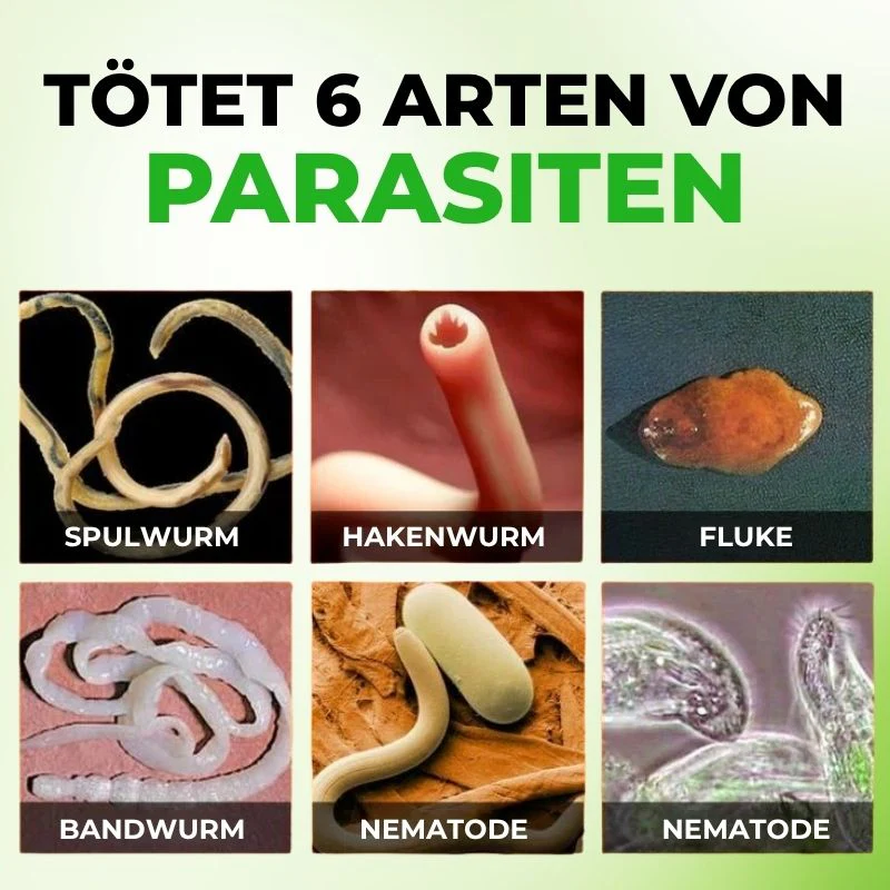 ParaClear™ | Fenbendazol und Ivermectin zur Parasitenbeseitigung - Image 3