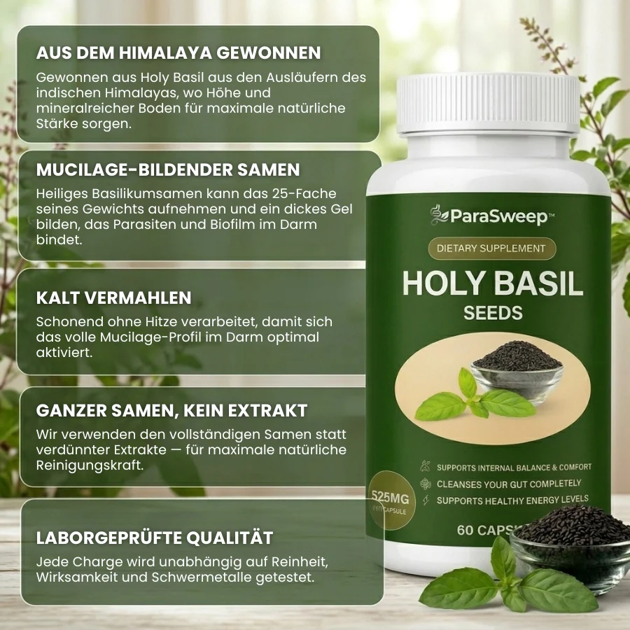 ParaSweep™ | Kapseln mit Heiliges Basilikumsamen - Image 4