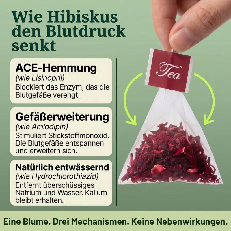PressurEase™ | 100 % reiner Hibiskus – keine Füllstoffe - Image 6