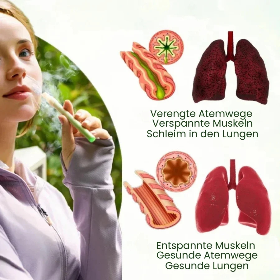 PuffiAir™ |  Königskerzenblatt-Diffusor ( 4 Aromen in einer Box ) - Image 4