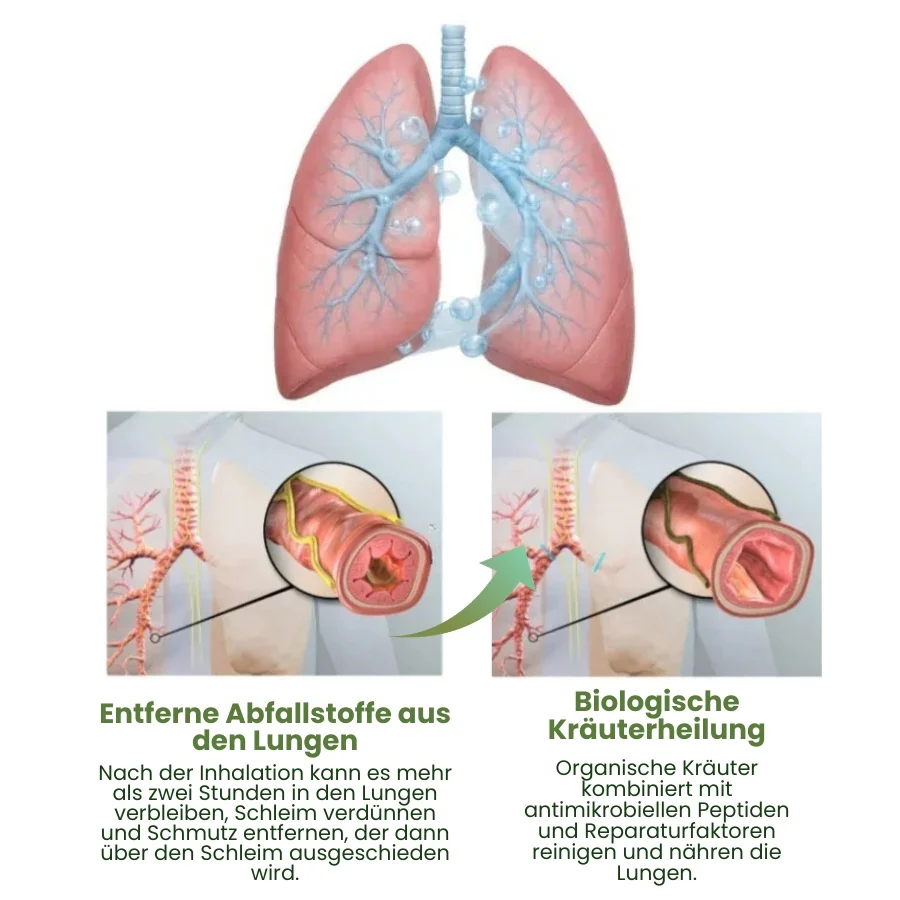PuffiAir™ |  Königskerzenblatt-Diffusor ( 4 Aromen in einer Box ) - Image 5