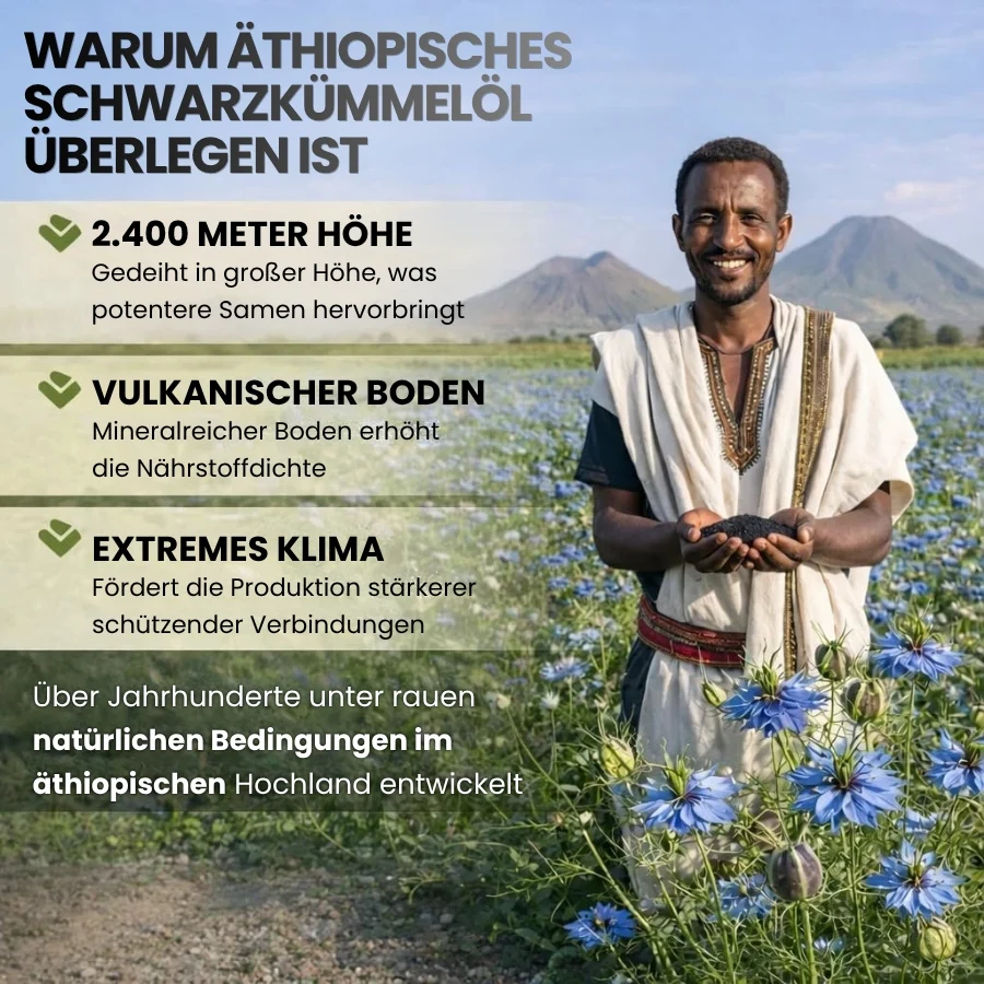 PureElixir™ | Nahrungsergänzungskapseln mit äthiopischem Schwarzkümmelöl - Image 6