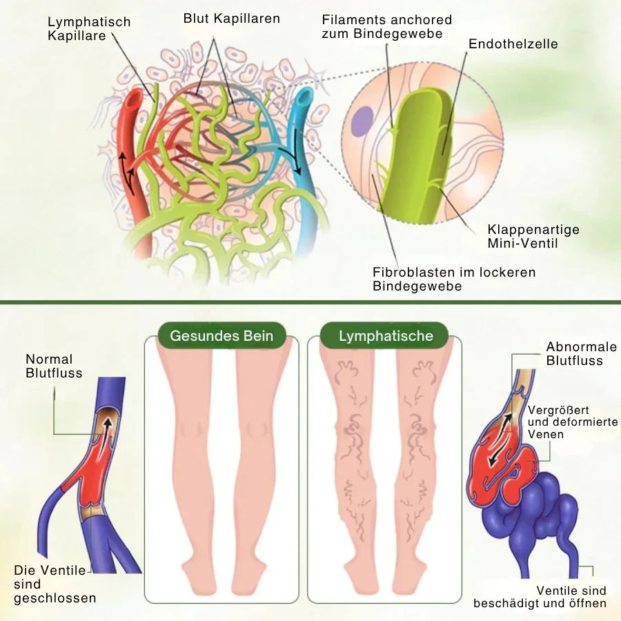 SwellPure™ | Lymphatic Detox Kräutercreme - Image 4
